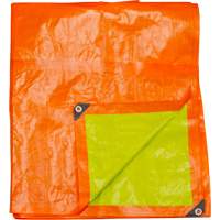 Tarps