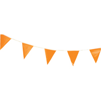 Pennants, 60' L, Orange Canadian Safety Group Inc.