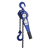 Palan &agrave; levier avec chaîne de 3', Lev&eacute;e 3', Cabacit&eacute; 500 lb (0,25 tonne) Canadian Safety Group Inc.