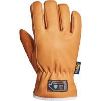 Endura&reg; Gloves, Large, Synthetic Palm, Thinsulate Inner Lining Canadian Safety Group Inc.