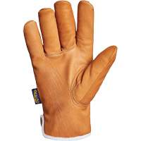 Endura&reg; Gloves, Large, Synthetic Palm, Thinsulate Inner Lining Canadian Safety Group Inc.