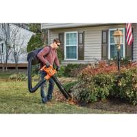 3-in-1 VacPack Leaf Blower/Vacuum/Mulcher, 250 MPH Output, Electric Canadian Safety Group Inc.