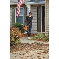 3-in-1 VacPack Leaf Blower/Vacuum/Mulcher, 250 MPH Output, Electric Canadian Safety Group Inc.