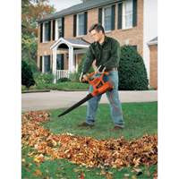 Leaf Blower/Vacuum/Mulcher, 210 MPH Output, Electric Canadian Safety Group Inc.