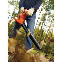 High Performance Leaf Blower/Vacuum/Mulcher, 250 MPH Output, Electric Canadian Safety Group Inc.
