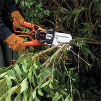 Alligator&reg; Lopper Canadian Safety Group Inc.