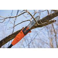 9-1/2' Pole Saw Canadian Safety Group Inc.