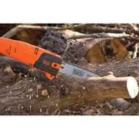 9-1/2' Pole Saw Canadian Safety Group Inc.