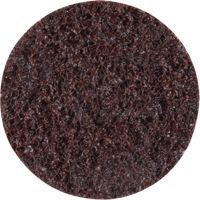 Disques de traitement des surfaces Standard Abrasives, 2" dia., Grain Cors&eacute; Canadian Safety Group Inc.