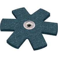 Ponçage Star Scotch-Brite Canadian Safety Group Inc.