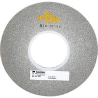 Meule d'&eacute;bavurage Scotch-Brite EXL Canadian Safety Group Inc.