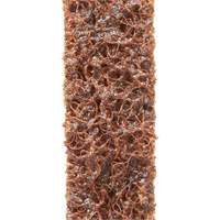 Scotch-Brite Sanding Belt, 3" W x 132" L, Aluminum Oxide, Coarse Grit Canadian Safety Group Inc.