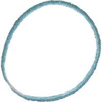 Courroie de conditionnement de surface Scotch-Brite Canadian Safety Group Inc.