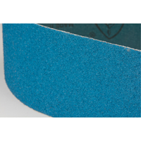 Blue Abrasive Belt Canadian Safety Group Inc.