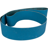 Blue Abrasive Belt Canadian Safety Group Inc.
