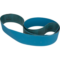 Blue Abrasive Belt Canadian Safety Group Inc.