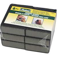 Wet and Dry Sanding Sponges Canadian Safety Group Inc.