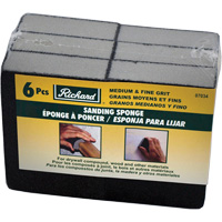 Sanding Sponge Canadian Safety Group Inc.