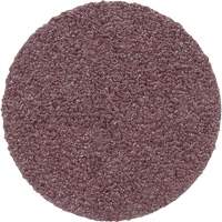 Meule en toile PSA 348D, 20" dia., Grain 60, Oxyde d'aluminium Canadian Safety Group Inc.