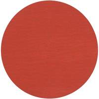 Roloc 787C Fibre Disc, 2" Dia., 120+ Grit, Ceramic Canadian Safety Group Inc.