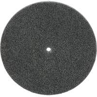 Scotch-Brite EXL Unitized Wheel, 5" x 1/4", 1/4" Arbor, Fine Grit, Silicon Carbide Canadian Safety Group Inc.