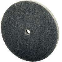 Scotch-Brite EXL Unitized Wheel, 3" x 1/4", 1/4" Arbor, Fine Grit, Silicon Carbide Canadian Safety Group Inc.