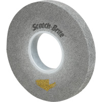 Disque d'&eacute;bavurage Scotch-Brite EXL Pro Canadian Safety Group Inc.