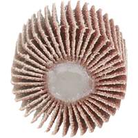 Flap Disc 747D, Aluminum Oxide/Ceramic, 80 Grit, 1" x 1" x 1/4" Canadian Safety Group Inc.