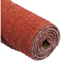 Cartouche de ruban abrasif en rouleau Standard Abrasives Canadian Safety Group Inc.