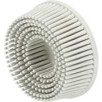 Disque en soies Scotch-Brite, C&eacute;ramique, Grain P120, 2" dia. Canadian Safety Group Inc.