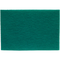 Tampons manuels Bear-Tex, Oxyde d'aluminium, 6" x 9", Grain Tr&egrave;s fin Canadian Safety Group Inc.