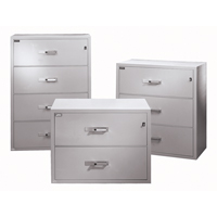 Fire Resistant Filing Cabinets, Steel, 4 Drawers, 38-3/4" W x 23-1/2" D x 55" H, Black Canadian Safety Group Inc.