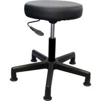 900 Series Task Stool, Stationary, Adjustable Height, 250 lbs. Capacity Canadian Safety Group Inc.