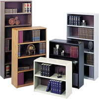 Biblioth&egrave;ques en acier Value Mate Canadian Safety Group Inc.