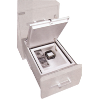 Data Protection Media Safes Canadian Safety Group Inc.