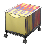 Onyx File Cart Canadian Safety Group Inc.