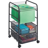 Onyx File Cart Canadian Safety Group Inc.