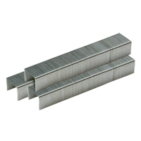 Swingline&reg; Optima Staples Canadian Safety Group Inc.