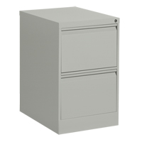 Classeur vertical, Acier, 2 tiroirs, 18-1/7" la x 25" p x 29" h, Gris Canadian Safety Group Inc.