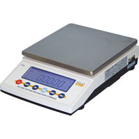 Balances de pr&eacute;cision, Capacit&eacute; 5000 g, Graduations 0,1 g Canadian Safety Group Inc.