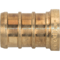 Lead-Free Pipe Plug, Pipe, 1/2" Dia., Brass Canadian Safety Group Inc.