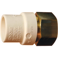 Threaded Pipe Adapter, Hub x FPT, 1" Dia., Brass/CPVC Canadian Safety Group Inc.