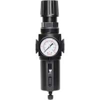 Manual Drain Filter/Regulator with Standard Bowl Modulair 300, 1/4" NPT, 150 PSI, 5.1 fl. oz. Capacity Canadian Safety Group Inc.