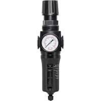 Manual Drain Filter/Regulator with Metal Bowl Modulair 300, 1/4" NPT, 250 PSI, 5.1 fl. oz. Capacity Canadian Safety Group Inc.