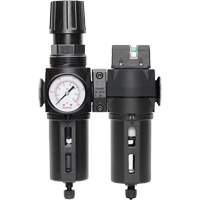 Manual Drain Filter, Regulator & Coalescing Filter with Standard Bowl Modulair 300, 1/4" NPT, 150 PSI, 5.1 fl. oz. Capacity Canadian Safety Group Inc.