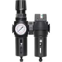 Filter/Regulator & Coalescing Filter Modulair 300 with Standard Bowl & Manual Drain, 3/8" NPTF, 150 PSI, 5.12 fl. oz. Capacity Canadian Safety Group Inc.