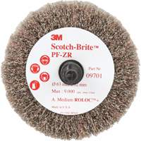 Scotch-Brite Roloc Cut and Polish Flap Brush, PF-ZR, Aluminum Oxide, Medium Grit, 2-1/2" x 1-1/4" Canadian Safety Group Inc.