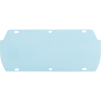 Visi&egrave;re Facetec en polycarbonate, Polycarbonate, Teinte Transparent Canadian Safety Group Inc.