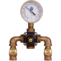 Vannes de m&eacute;lange thermostatiques, 7 gal./min Canadian Safety Group Inc.