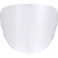 Replacement Lenses Canadian Safety Group Inc.